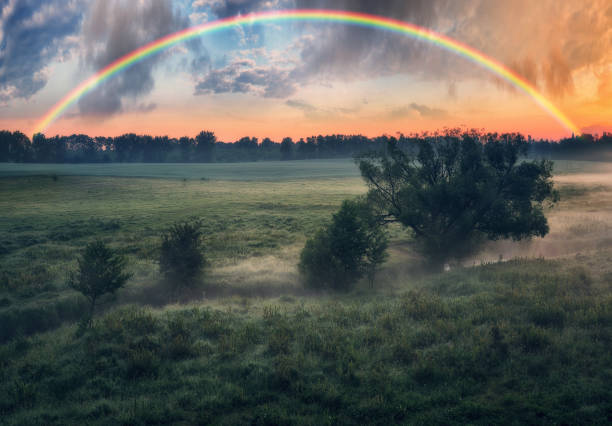 istock Rainbow over a meadow in the spring. colorful morning. landscape with tree 1426689078