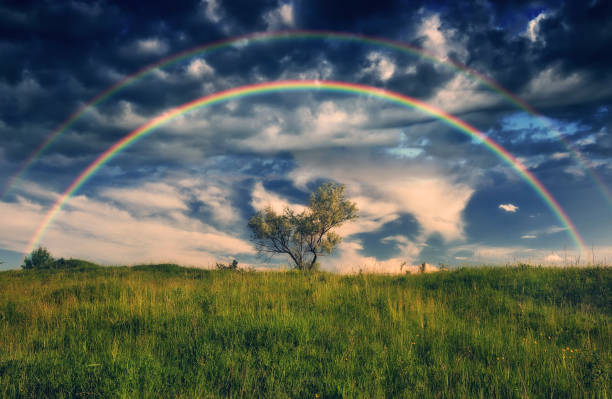 istock Rainbow over a meadow in the spring. colorful morning. landscape with tree 1426689090