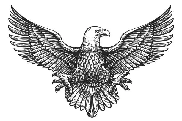 Vector illustration of Eagle with spread wings. Royal symbol hand drawn sketch in vintage engraving style. Vector illustration