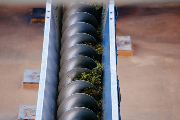 istock Green grapes in auger grape transportation machinery in modern winery 1426698442