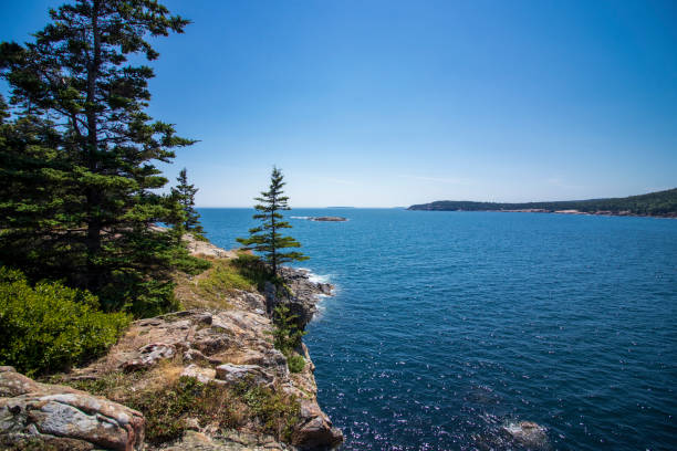 istock Coastline of Acadia National Park 1426698780