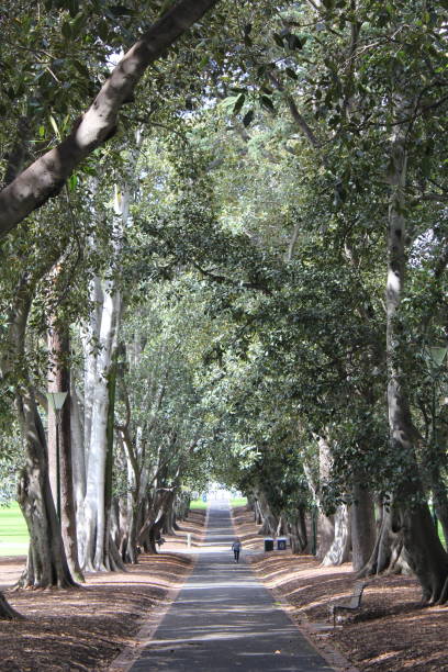 istock Park in Melbourne with longway 1426698874