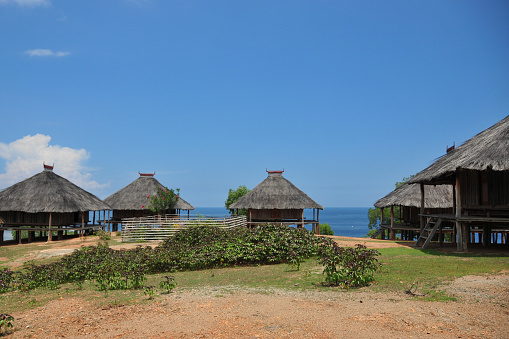 Tibar bay, Liquiçá municipality, East Timor / Timor Leste: traditional Timorese village buildings, with pyramid thatched roofs with horns and walls made of bamboo and areca palm. Uma fukun / uma lulik style.