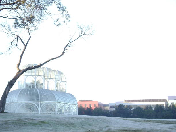 Curitiba's Botanical Garden in Curitiba (Brazil) covered by frost in the winter