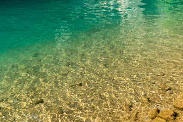 istock Ripple water abstract background with small pebbles 1426729349