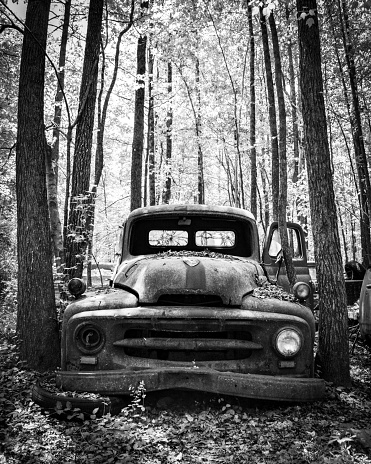 Vintage truck overgrown by trees