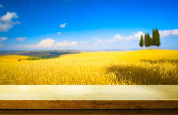 istock Art Empty wooden deck table on rural landscape background with golden farm wheat fields 1426755606