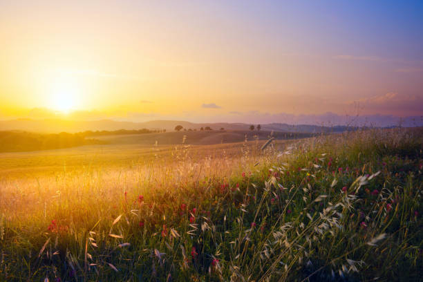 istock Art abstract art rural landscape; autumn sunny meadow 1426755621