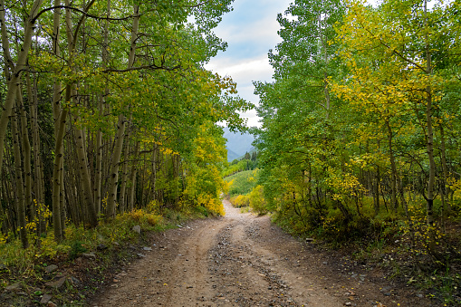 Dirt road through autumn Colorado aspens in San Juan mountains of western USA.