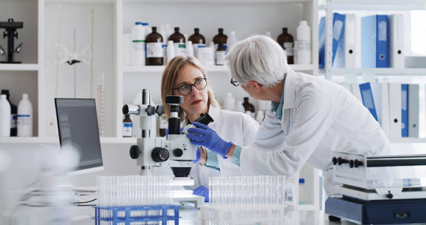 Microscope, futuristic and doctors in a science laboratory working on medical research together as women. Future, senior and scientists talking about biotechnology, chemistry and innovation stock photo