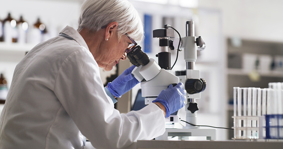 Lead medical scientist or doctor with microscope at a desk to study covid test sample in lab. Expert woman healthcare professional discovering a cure for diseases in a science research laboratory
