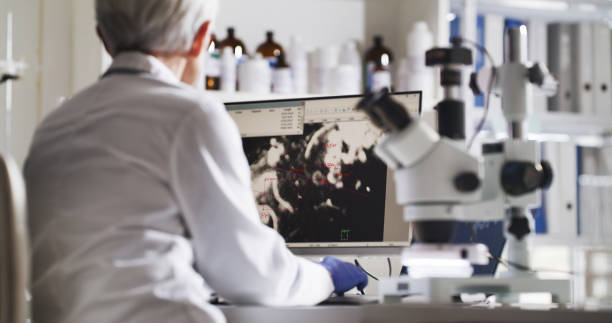 istock Science, medical and healthcare microscope study on a computer screen with a scientist working. Virus expert in a laboratory doing dengue vaccine, medicine analytics and lab innovation research 1426756134