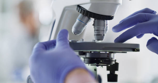 Science microscope lens, scientist hands and laboratory research, medical innovation and biology test. Closeup glass slide, chemistry investigation and pharma expert with dna virus bacteria analysis lente de microscopio científico, manos de científico e investigación de laboratorio, innovación médica y prueba de biología. diapositiva de vidrio de primer plano, investigación química y experto farmacéutico con análisis de bacterias de virus de