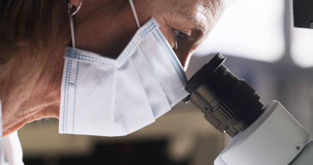 istock Senior scientist, forensic and science in covid research looking in microscope for disease or cure in a laboratory. Professional elderly doctor with mask analyzing in corona virus experiment 1426756347