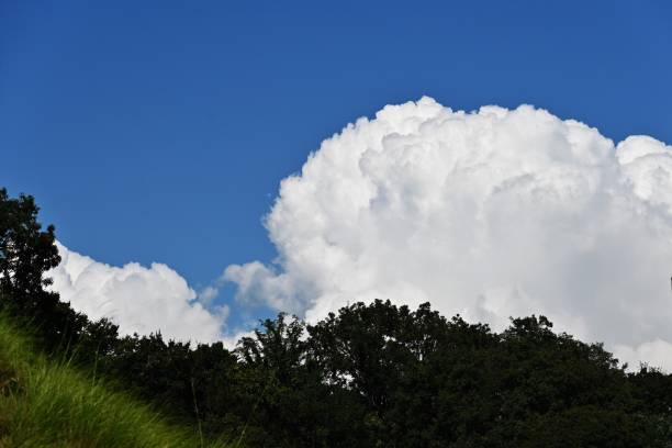 istock Blue sky and white clouds in Japanese autumn. 1426758367