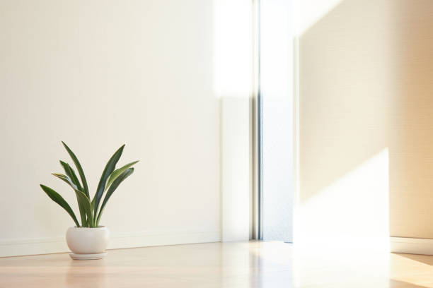 istock Image of a new house to move to 1426758954