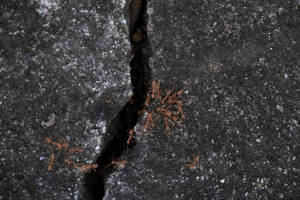 Abstract background comprised of weathered wall