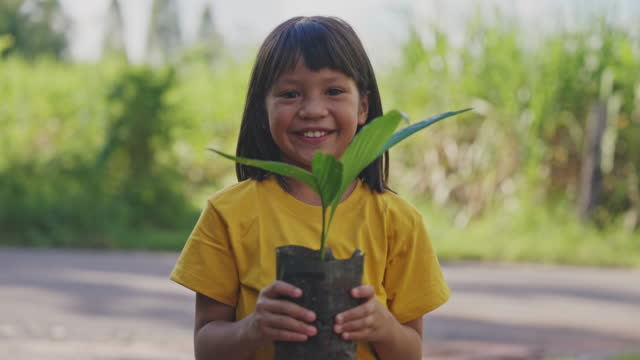 Little asian girl holding young plant in hands.