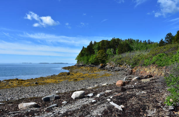 Scenic Rural Rugged Seashore Along Coastal Maine stock photo