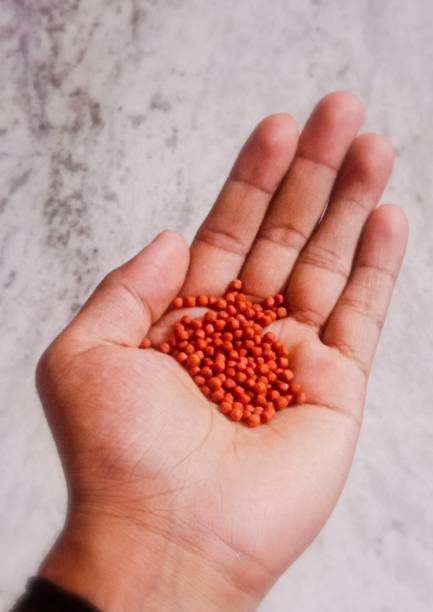 istock Holding Fish Food In Hand 1426806215