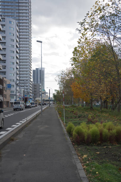 istock cityscape in autumn 1426811919