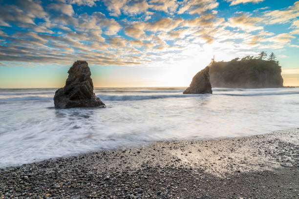 dramatic sunset sky with silhouette of  sea stacks on the background in Ruby beach at the Olympic national park in Washington State.