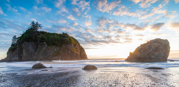 istock dramatic sunset sky with silhouette of  sea stacks on the background in Ruby beach at the Olympic national park in Washington State. 1426819240