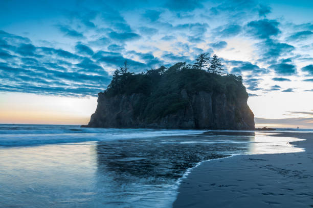 istock dramatic sunset sky with silhouette of  sea stacks on the background in Ruby beach at the Olympic national park in Washington State. 1426819261