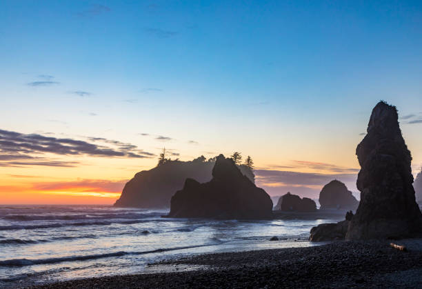 istock dramatic sunset sky with silhouette of  sea stacks on the background in Ruby beach at the Olympic national park in Washington State. 1426819295