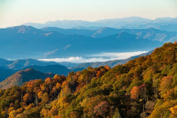 autumn sunrise in great smokey mountains national park. - famous place appalachian mountains autumn awe imagens e fotografias de stock