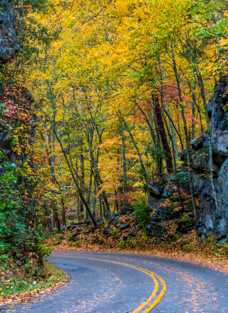 istock autumn in Cades Cove 1426827787