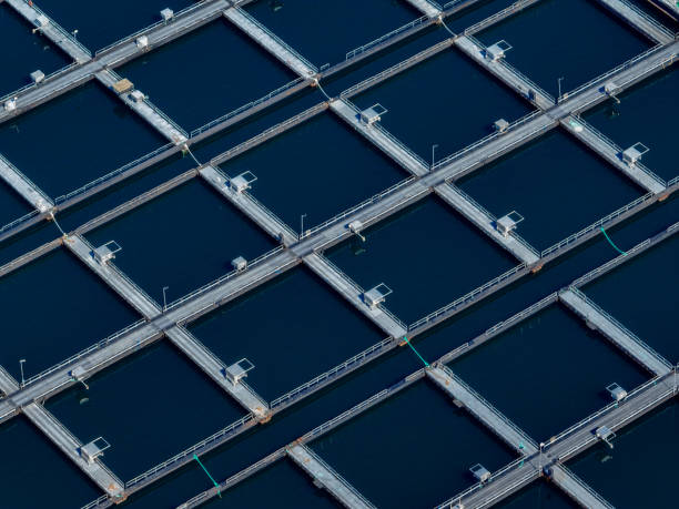 Aerial view of fish farming aquaculture in Storfjorden, Norway stock photo