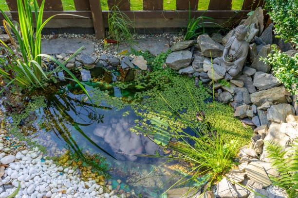 istock Japanese garden pond with a Buddha 1426836558