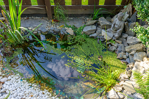 Japanese garden pond with a Buddha