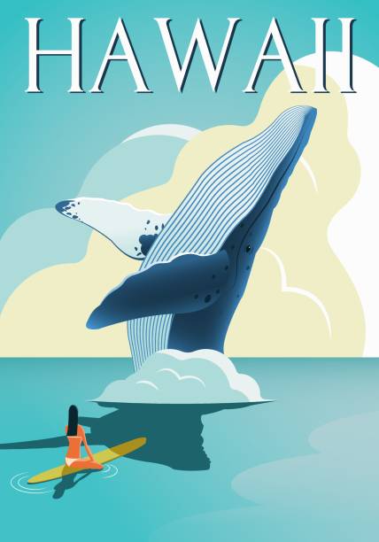 Surfer girl meeting a whale in open sea. Hawaii travel poster. Vector illustration.