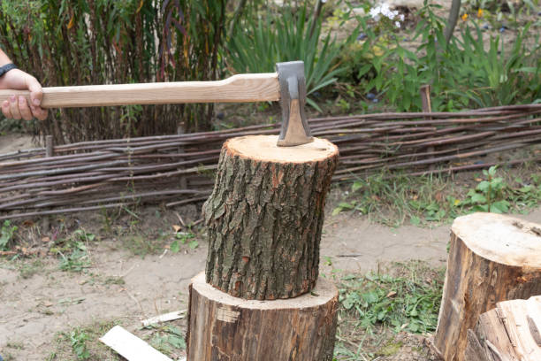 istock A man's hand holds a cleaver 1426839224