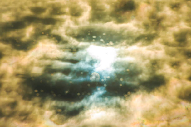 Sun reflecting through dark clouds in a lake in autumn, Almere, Flevoland, Netherlands, September, 2022