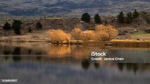 Autumn Trees On The Shore Of Butchers Dam Alexandra Central Otago Stock Photo - Download Image Now