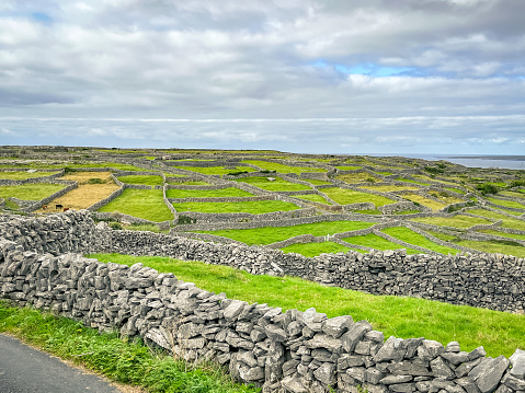 Farmlands on the rugged Aran Islands in Ireland with green pastures and stone fences.