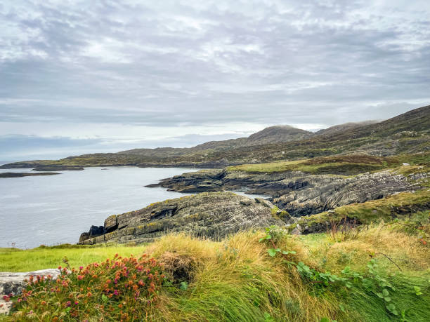 istock Rugged coastline of the Beara Peninsular 1426852143