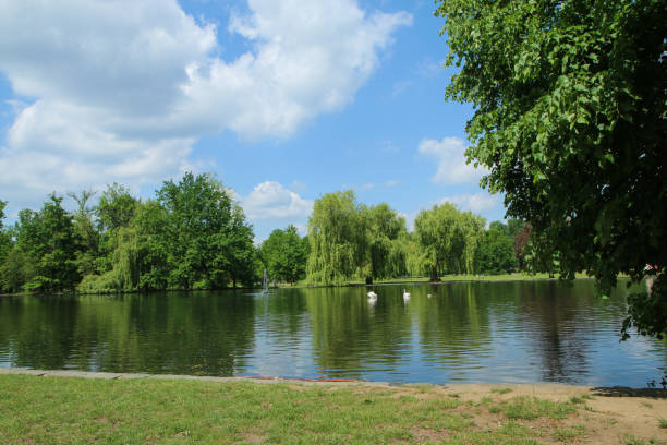 istock The relaxation and activity area park in Prague 1426862728