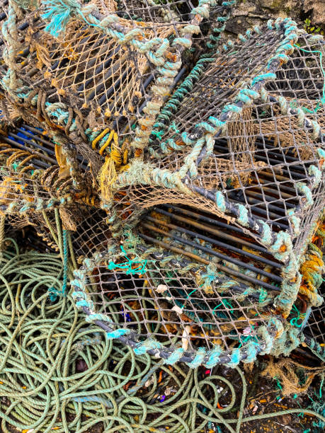 istock Fishing nets and lobster traps 1426863347