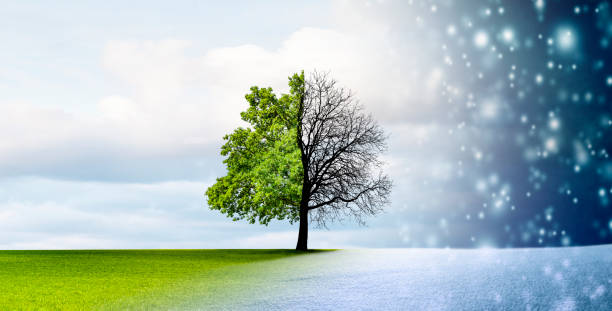 istock Season change from winter to summer 1426873201