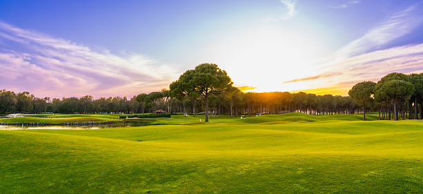 Golf course panorama at sunset with beautiful sky. Scenic panoramic view. Golf course with pine trees.