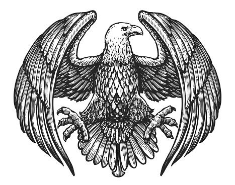Eagle with spread wings. Royal symbol. Hand drawn sketch in vintage engraving style. Vector illustration