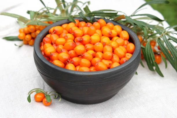 istock Ripe sea buckthorn berries in black ceramic bowl 1426889685