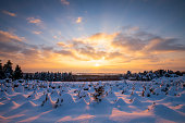 Magical winter landscape