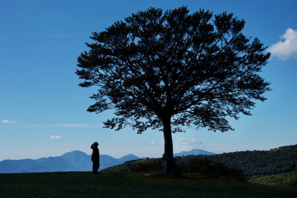 A mother and daughter walk together along a forested ridge in Binsar Nature Reserve, Kumaon Region, India. They pass beneath a large, old tree with sprawling branches, surrounded by lush Himalayan greenery and warm sunlight. Family bonding, nature exploration, eco-tourism, forest hiking, and peaceful outdoor adventures in the mountains.