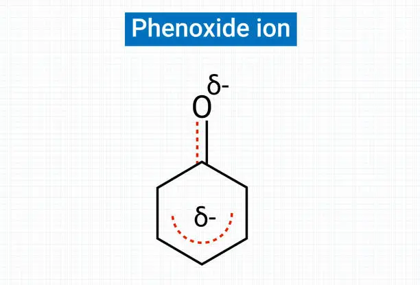 Vector illustration of Chemical structure of Phenoxide ion