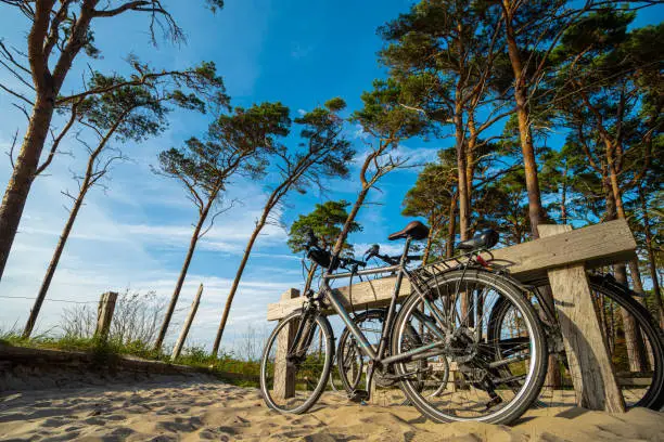 Fischland Darß Zingst - Bicycles on a parking lot on the west beach on a sunny day